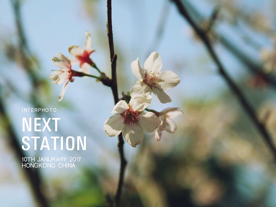 每站都是美景（图ZNzA4NDg3NDA=） - 风光摄影 - 站酷设计师明明一只猫原创素材 - 站酷ZCOOL