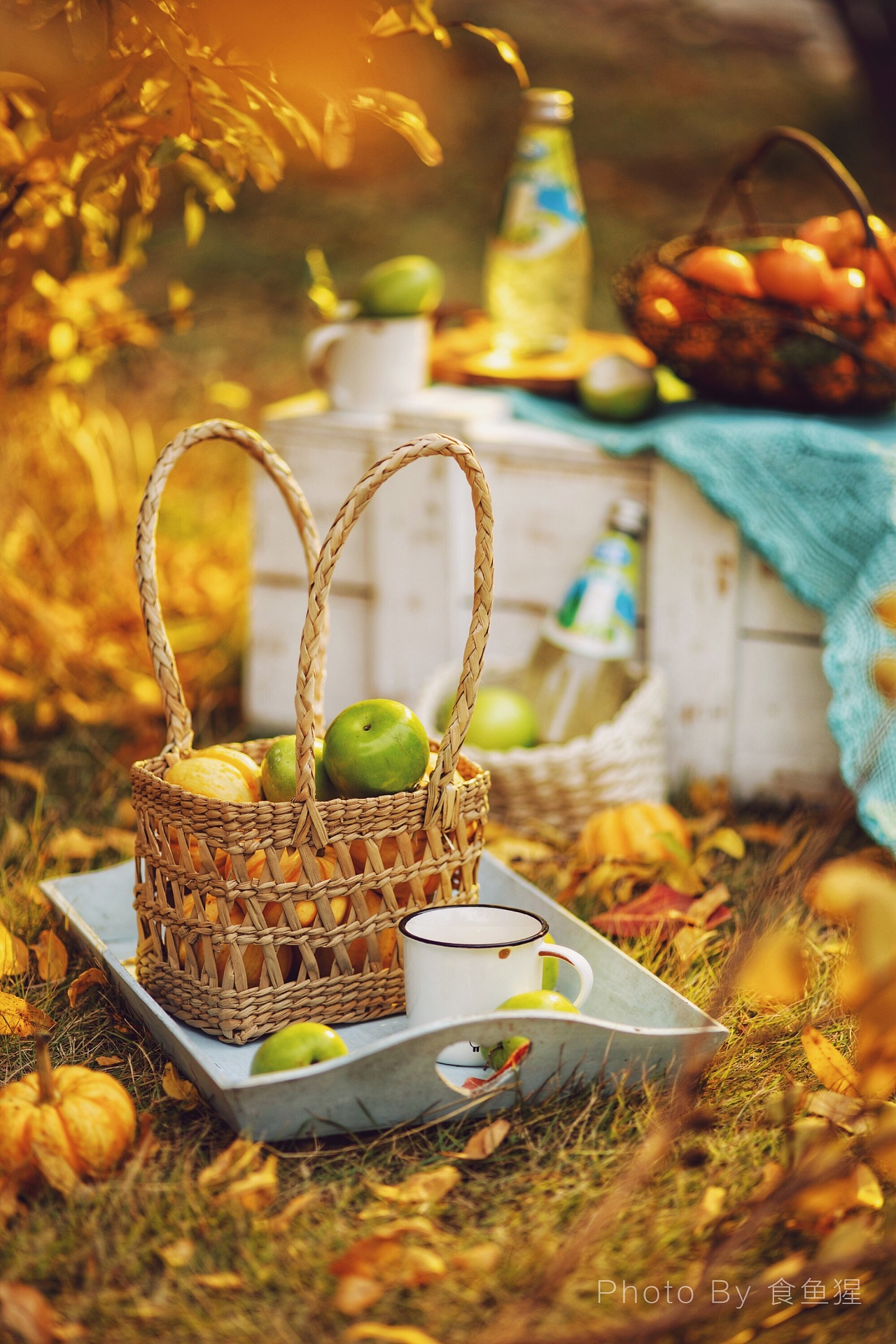 秋天的尾巴,户外,色彩|摄影|产品摄影|食鱼猩 - 原创作品 - 站酷