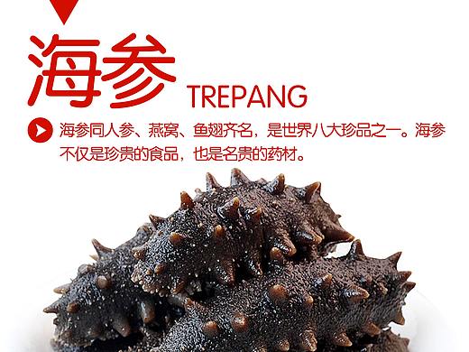 A4小纸卡物料