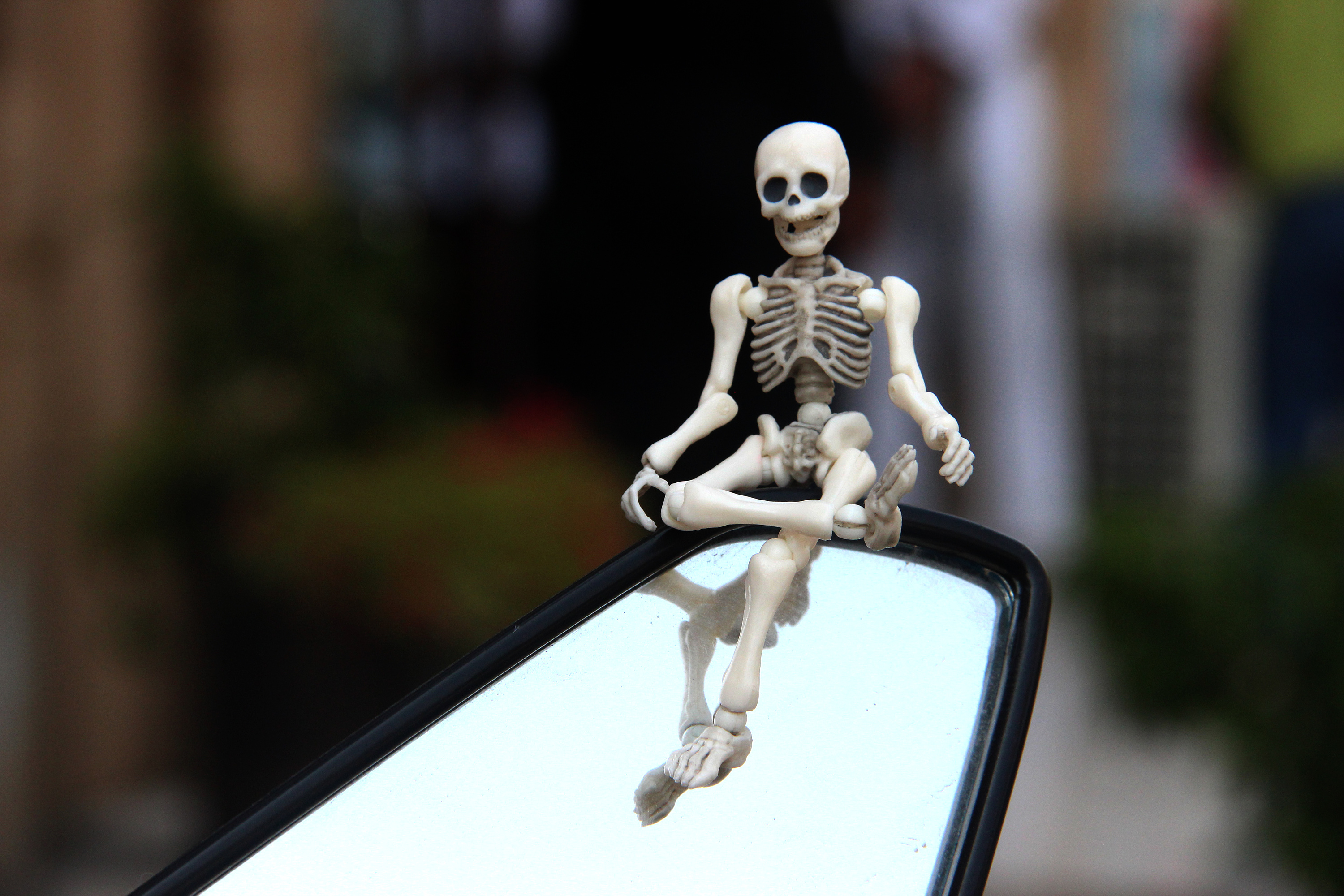 小骷髅的快乐生活