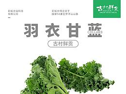 采集详情页