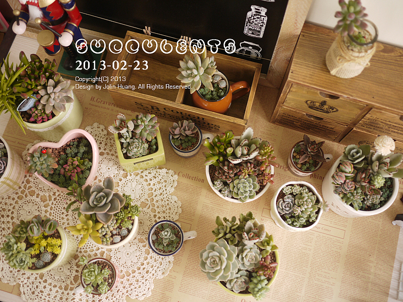 多肉植物组合（图ZMTE0NzYxODA=） - 产品摄影 - 站酷设计师jolinivy原创素材 - 站酷ZCOOL