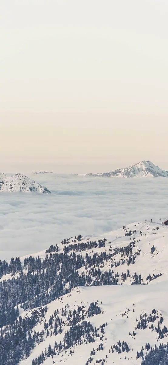 胡大爺呀_的個人主頁（背景預覽） - 主頁背景設置 - 站酷設計師胡大爺呀_原創(chuàng)素材 - 站酷ZCOOL