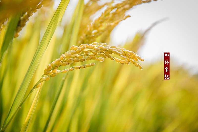 “妈妈这是最好吃的部分啊!”