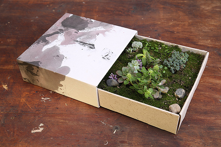 自然造物之【初生礼】