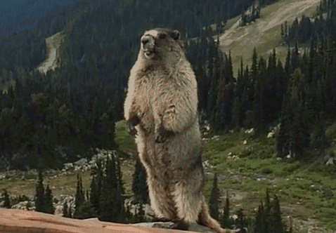 可爱情报局第23话