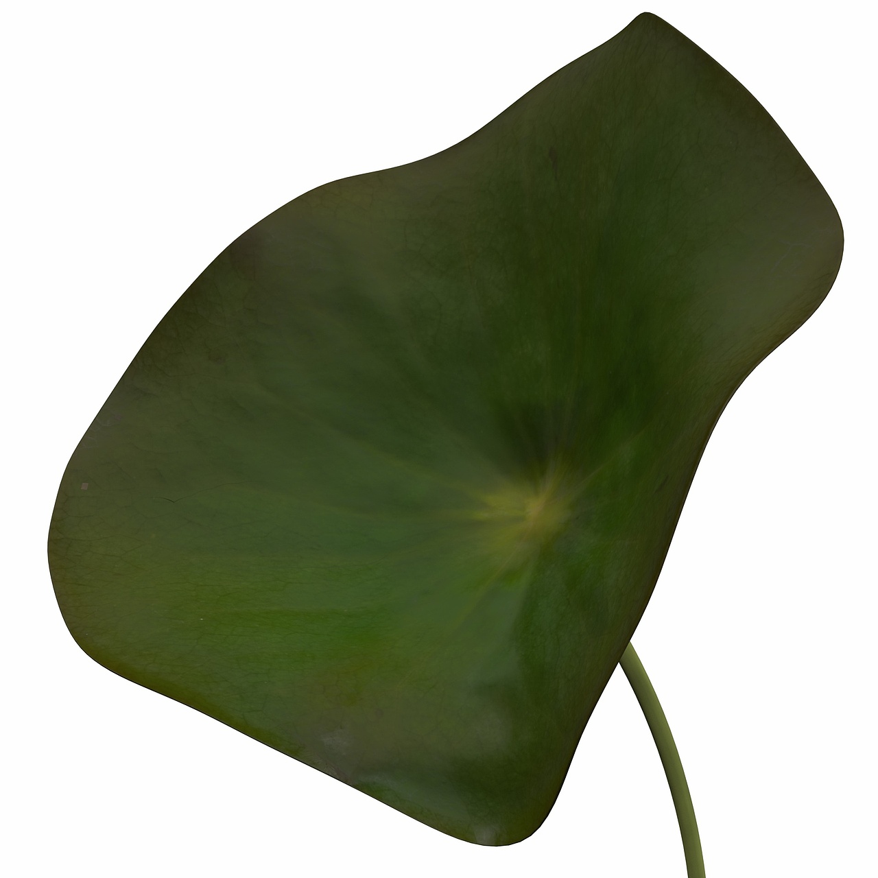 。（图ZMTUyMjQ5NDk2） - 其他三维 - 站酷设计师最帅的小张啊原创素材 - 站酷ZCOOL