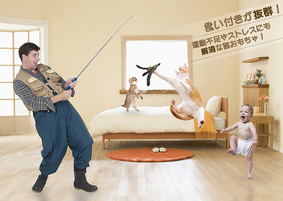 宠物产品场景图合集