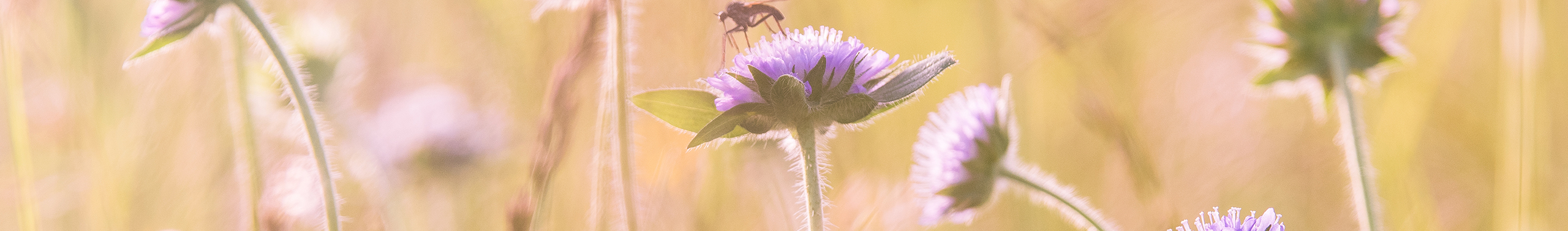 小男的小宇宙的個人主頁（封面預(yù)覽） - 主頁封面設(shè)置 - 站酷設(shè)計師小男的小宇宙原創(chuàng)素材 - 站酷ZCOOL