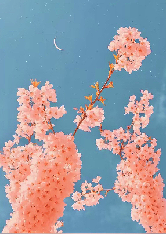 夏天 和 小熊