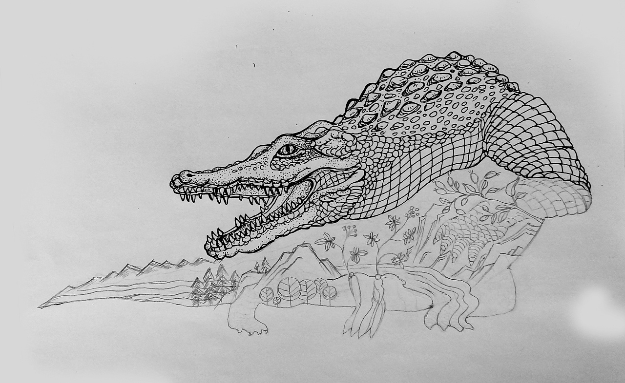 白酒包装-鳄鱼酒-2016