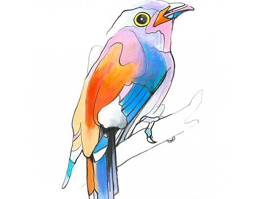 小小鳥（個人主頁-ZMjQ4NzY5NjA=） - 創(chuàng)作習(xí)作 - 站酷設(shè)計師夏木木108原創(chuàng)素材 - 站酷ZCOOL