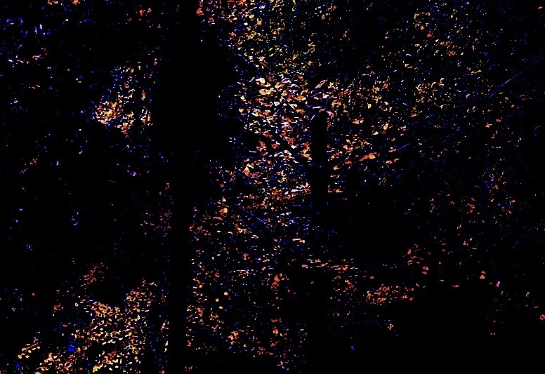 一些通过改色相饱和度对比度的摄影作业