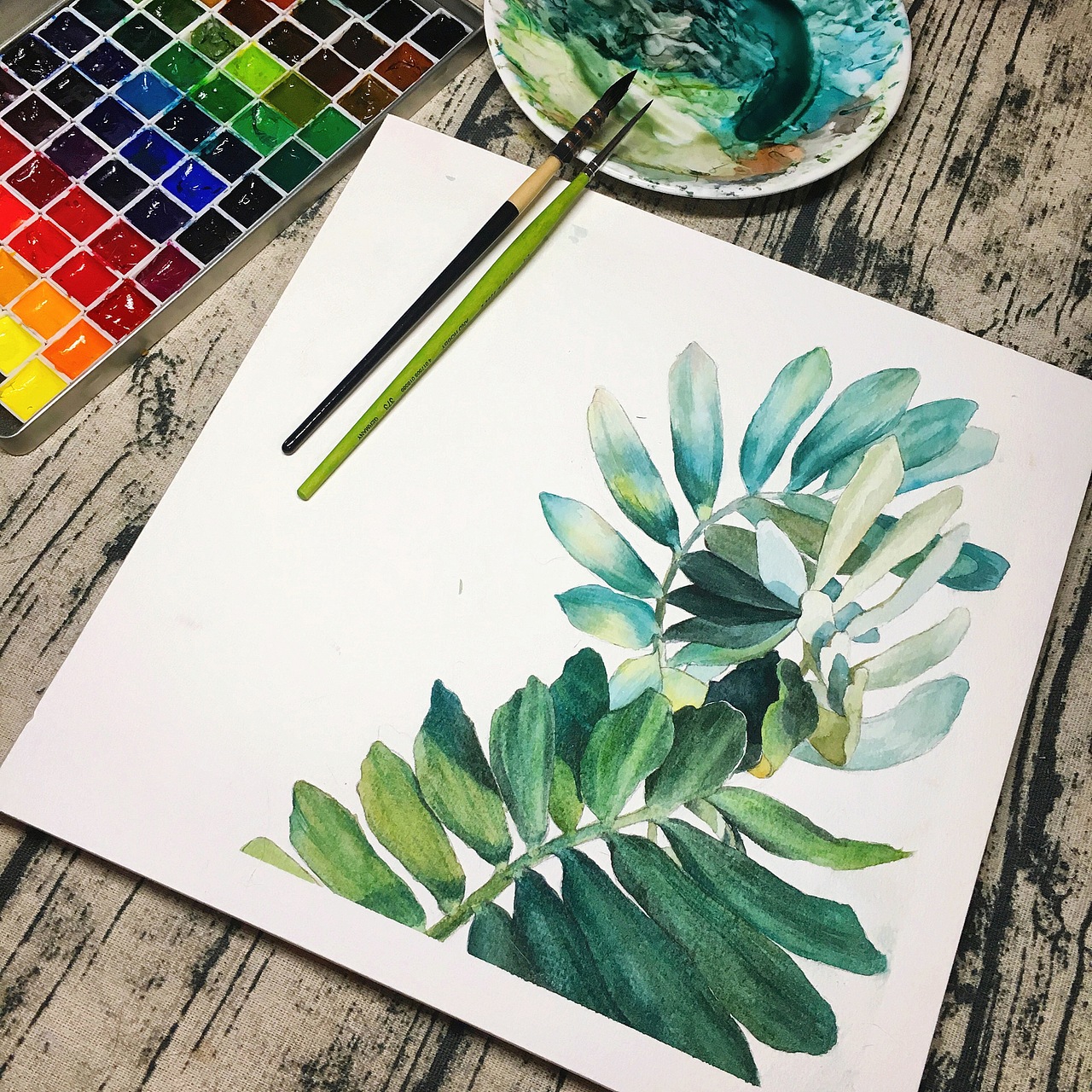 绿植（图ZNzc5Nzk3NTY=） - 商业插画 - 站酷设计师萌萌萌萌萌M原创素材 - 站酷ZCOOL