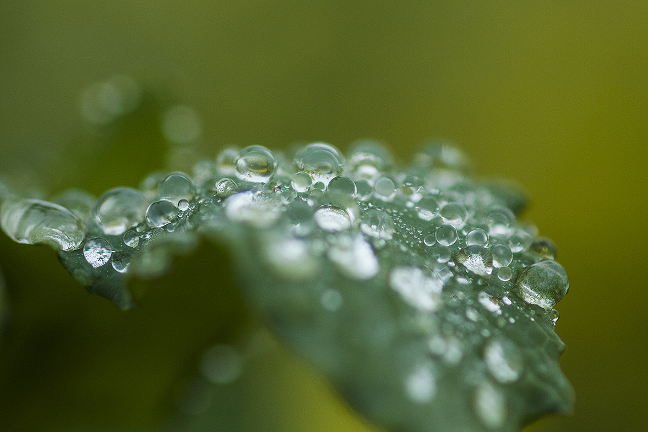 云南-罗平油菜花（图ZMTQxMzE3NzY=） - 风光摄影 - 站酷设计师RyanShao原创素材 - 站酷ZCOOL