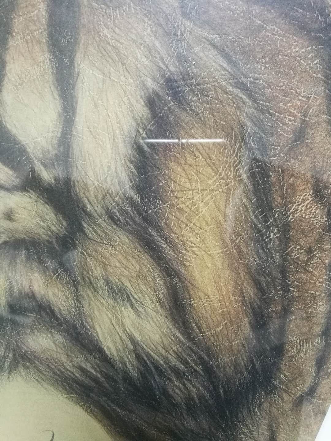 心有猛虎细嗅蔷薇