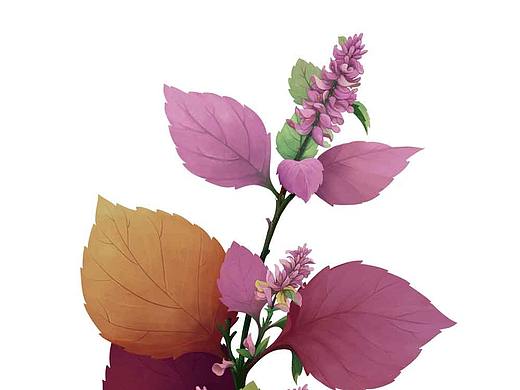 紫蘇（個(gè)人主頁-ZNTAwNzgyMjQ=） - 商業(yè)插畫 - 站酷設(shè)計(jì)師czhean原創(chuàng)素材 - 站酷ZCOOL