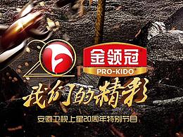 安徽卫视《我们的精彩》综艺海报