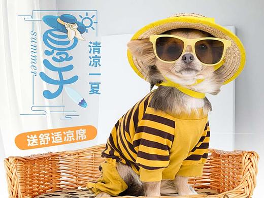 夏日神烦犬
