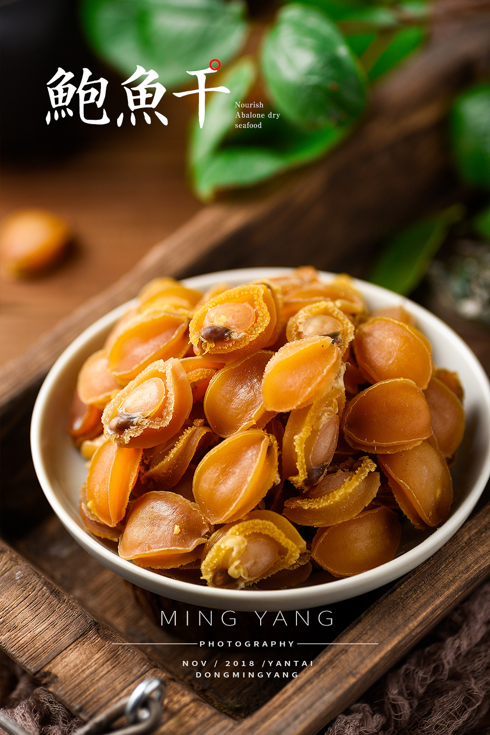 鲍鱼干拍摄
