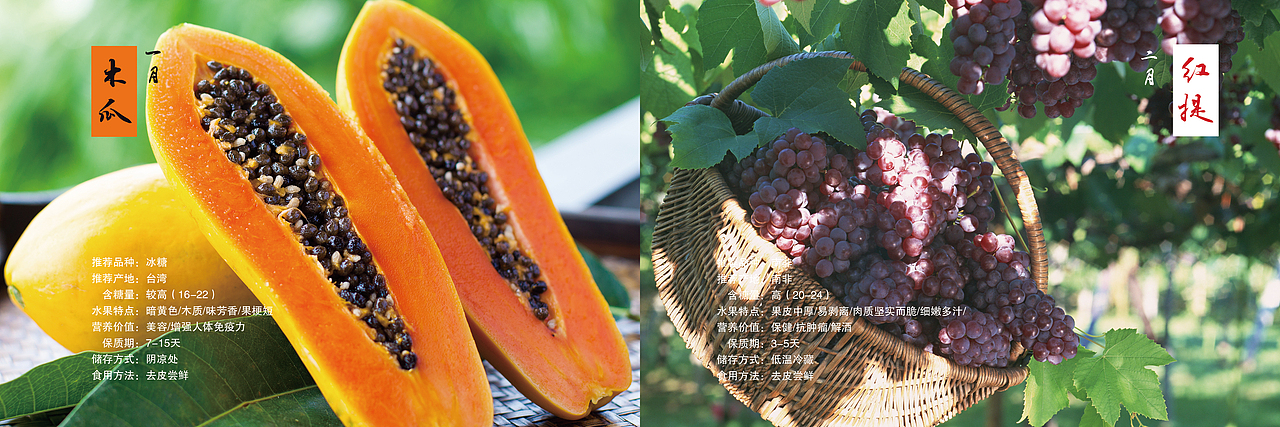 国内外一年四季热门水果介绍画册（图ZMjU3MTIyMjQw） - 书籍/画册 - 站酷设计师隔壁强子原创素材 - 站酷ZCOOL