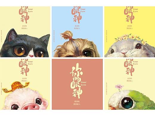 是宠物，更是家人