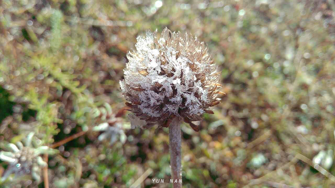 云南采风（图ZMTc2Mzk0MTAw） - 风光摄影 - 站酷设计师maonufeng原创素材 - 站酷ZCOOL