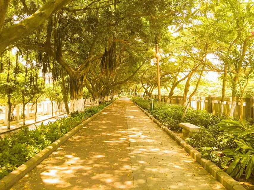 摄影-风吹过的街道