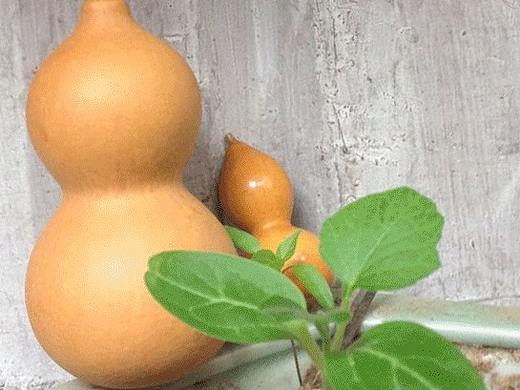 一些gifs们（个人主页-ZNDQyNjA1NTY=） - 其他 - 站酷设计师阿po原创素材 - 站酷ZCOOL