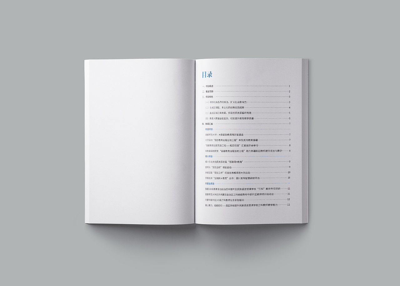 纯文字手册（图ZMjc0MDYwMjgw） - 书籍/画册 - 站酷设计师Capricorn万原创素材 - 站酷ZCOOL