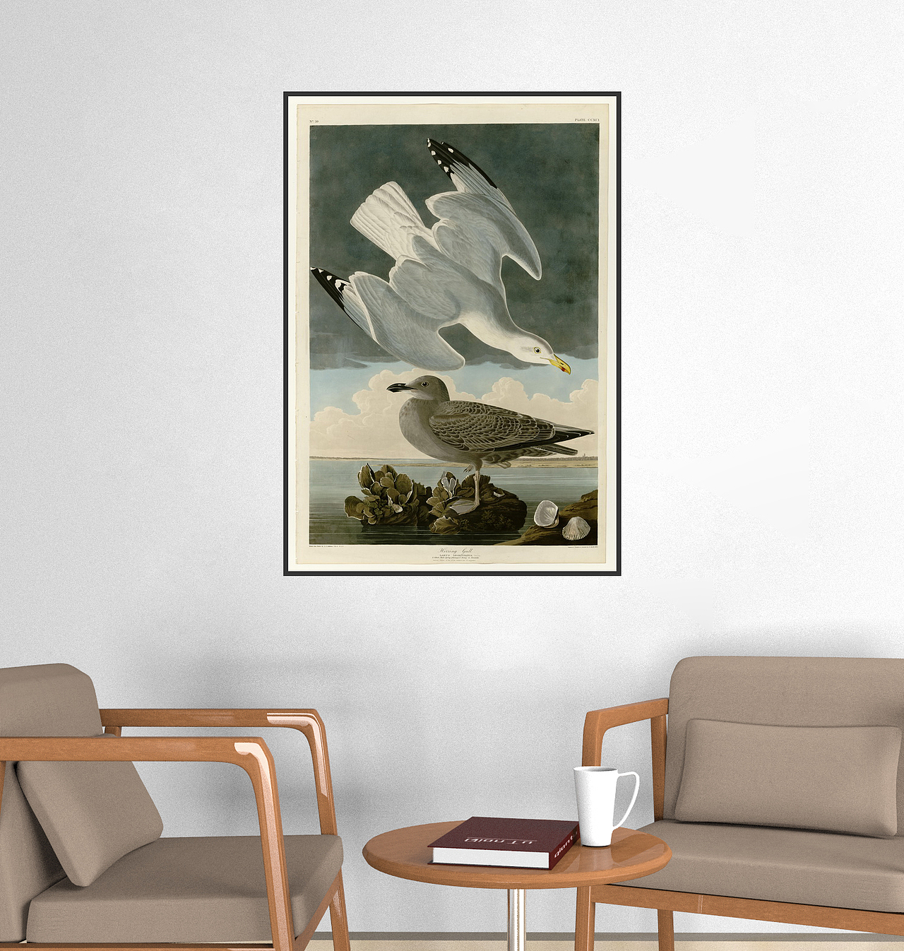 欧美鸟类装饰画