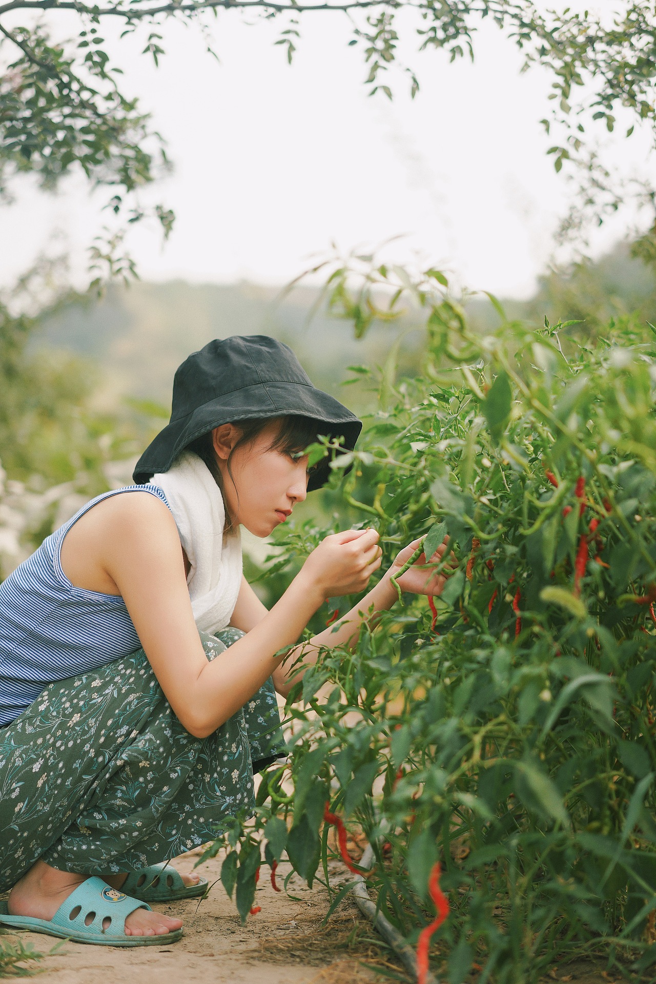 little forest/小森林（图ZMTM4NjcwNzE2） - 人像摄影 - 站酷设计师给给Eru原创素材 - 站酷ZCOOL