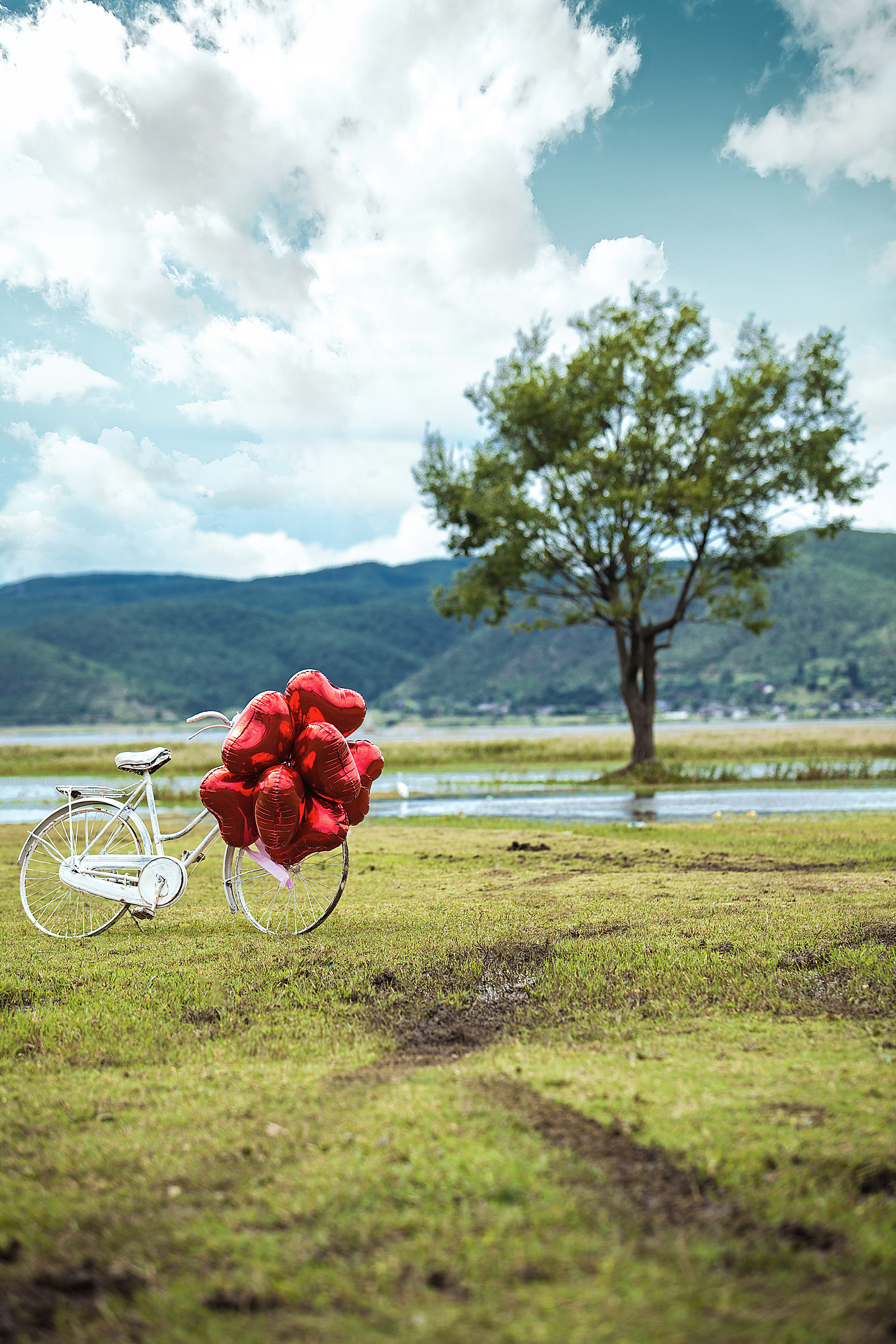 撒野（图ZMjgwMzA5Mzgw） - 婚礼摄影 - 站酷设计师品一盏清茶原创素材 - 站酷ZCOOL