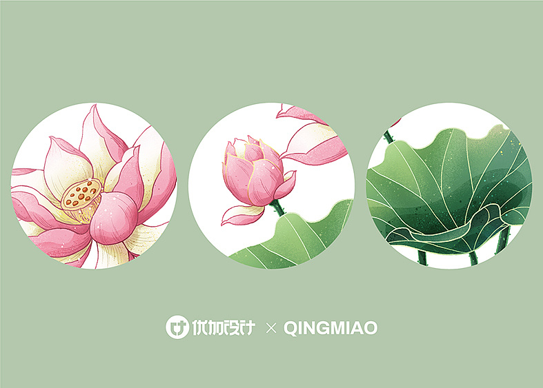 国风插画荷花|插画|商业插画|轻描qingmiao - 原创