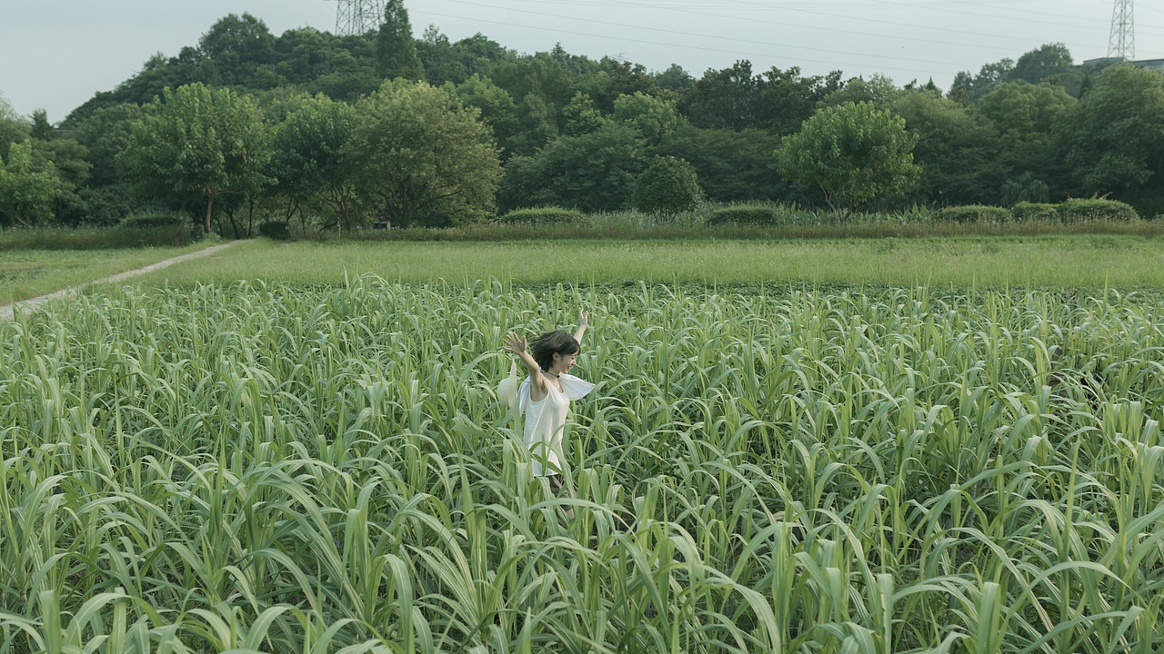 稻子会听着人的脚步声慢慢长大（图ZMTY5NjA5MTIw） - 人像摄影 - 站酷设计师野犬七原创素材 - 站酷ZCOOL
