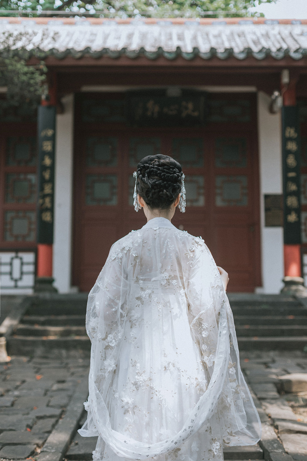 白茶清欢无别事 我在等风也等你