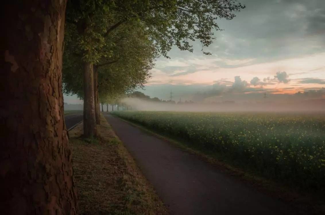 仙人掌设计的个人主页（背景预览） - 主页背景设置 - 站酷设计师仙人掌设计原创素材 - 站酷ZCOOL