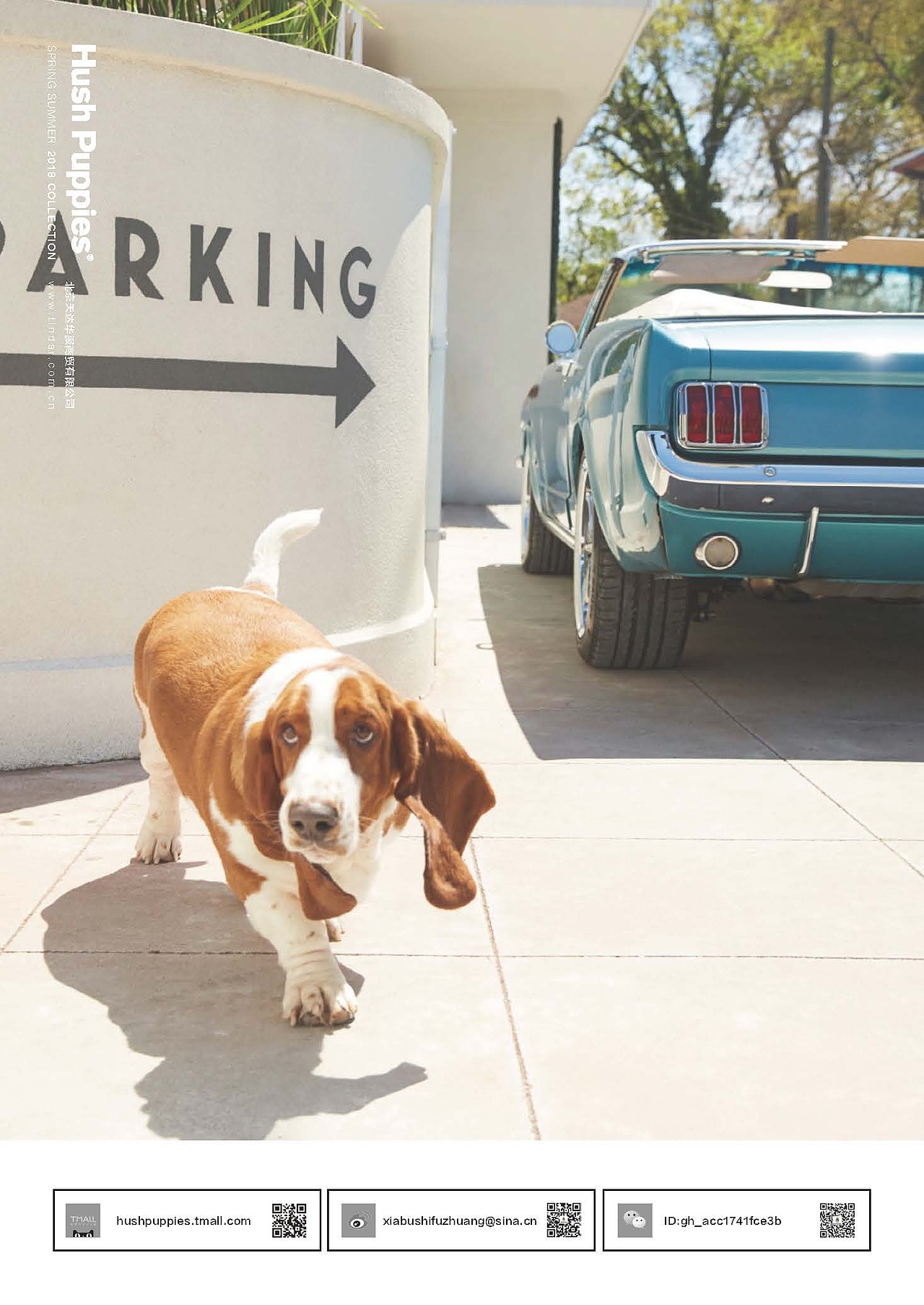 18SS Hush Puppies 暇步士品牌画册