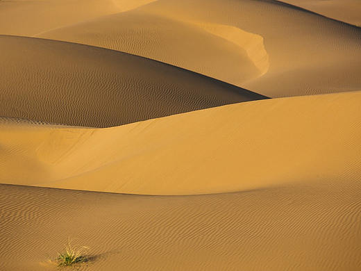 【旅行的意义】-平和的伊朗（上）-