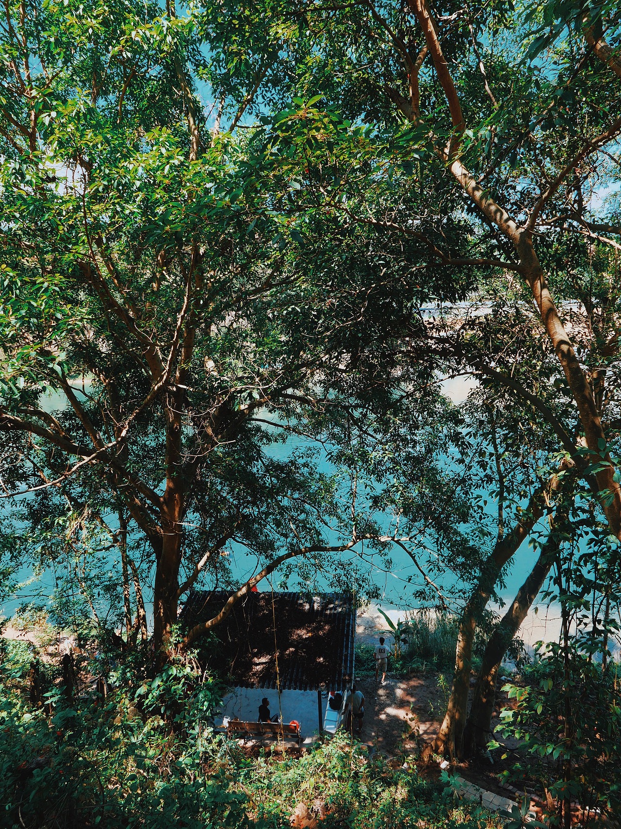 鯰魚（圖ZMjQ2MDQ2OTk2） - 商業(yè)插畫 - 站酷設(shè)計師阿蚌Boom原創(chuàng)素材 - 站酷ZCOOL