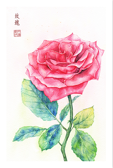 创作——花卉2（图ZMjc3MjE4ODQ=） - 商业插画 - 站酷设计师冰盐_Ybin原创素材 - 站酷ZCOOL