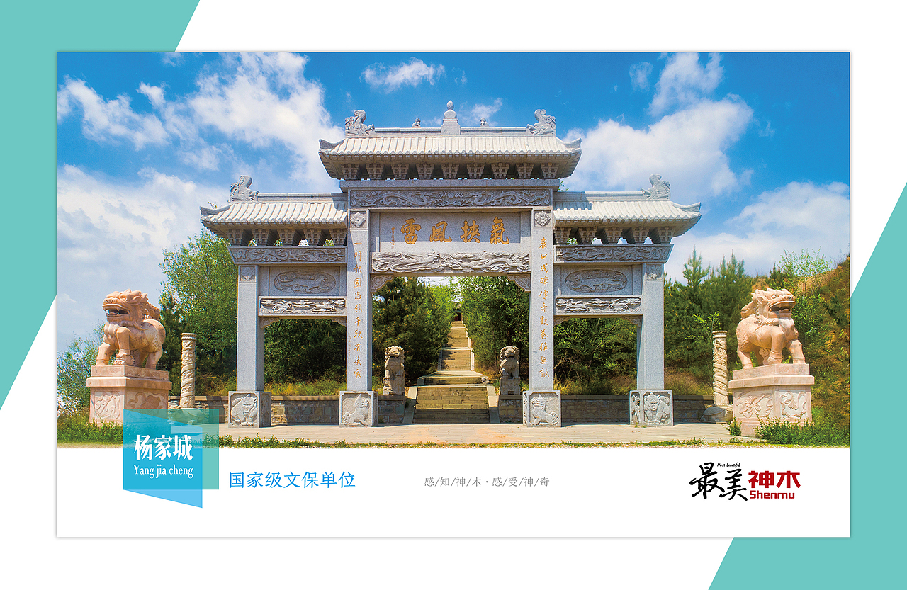 2020第一篇,最美神木明信片