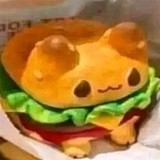 豆腐东施的头像