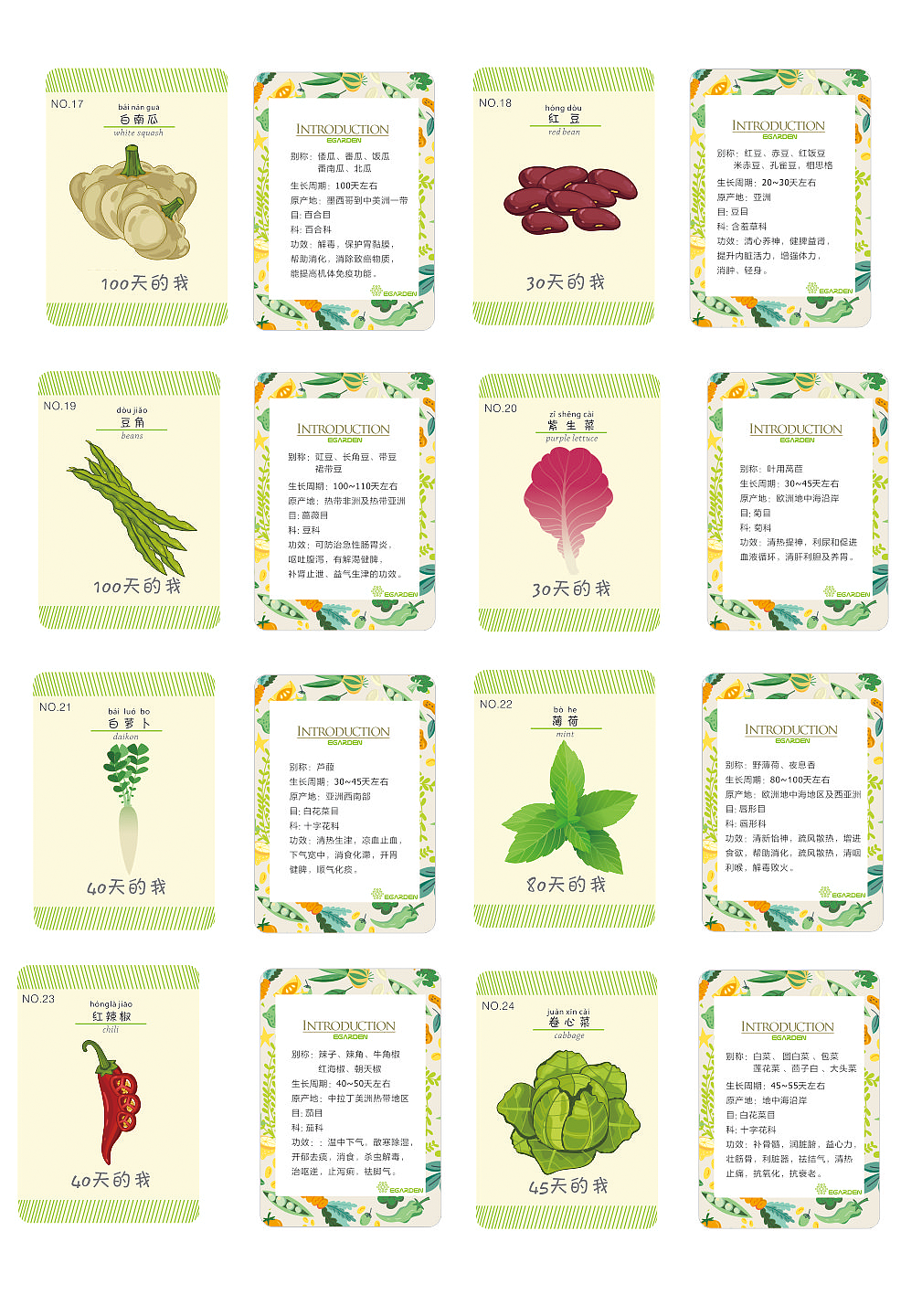 蔬菜卡片