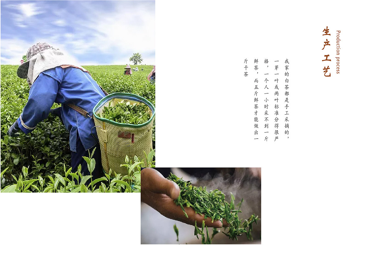 画册（图ZMjIzNjEzNjYw） - 书籍/画册 - 站酷设计师六分之一的水瓶原创素材 - 站酷ZCOOL