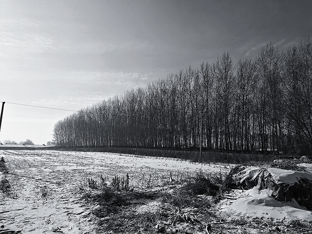 屯里雪景【黑白系】