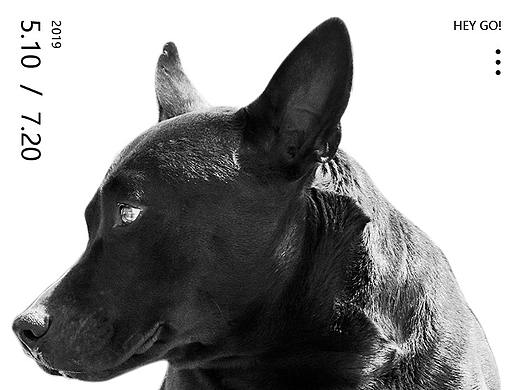 关于Kelly的日常设计乐趣