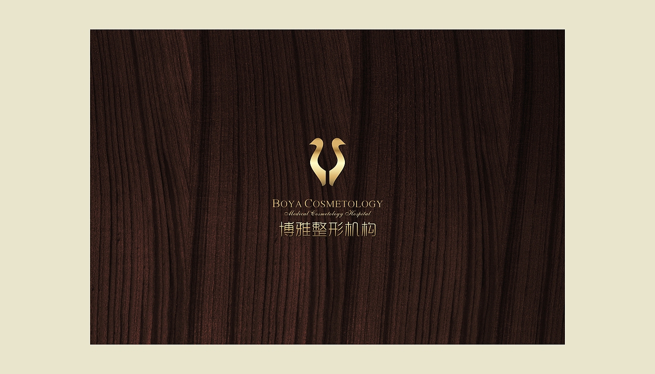 整容机构LOGO提案+应用