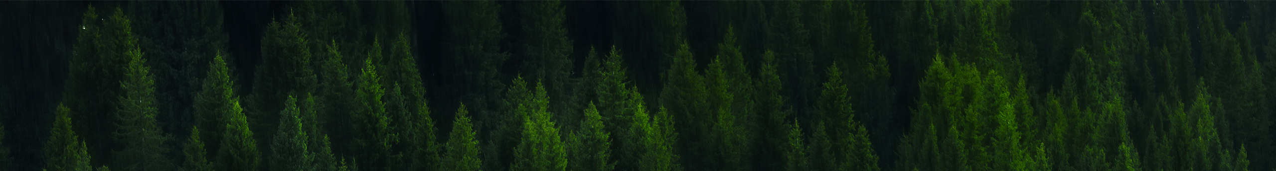 十五先森的个人主页（封面预览） - 主页封面设置 - 站酷设计师十五先森原创素材 - 站酷ZCOOL