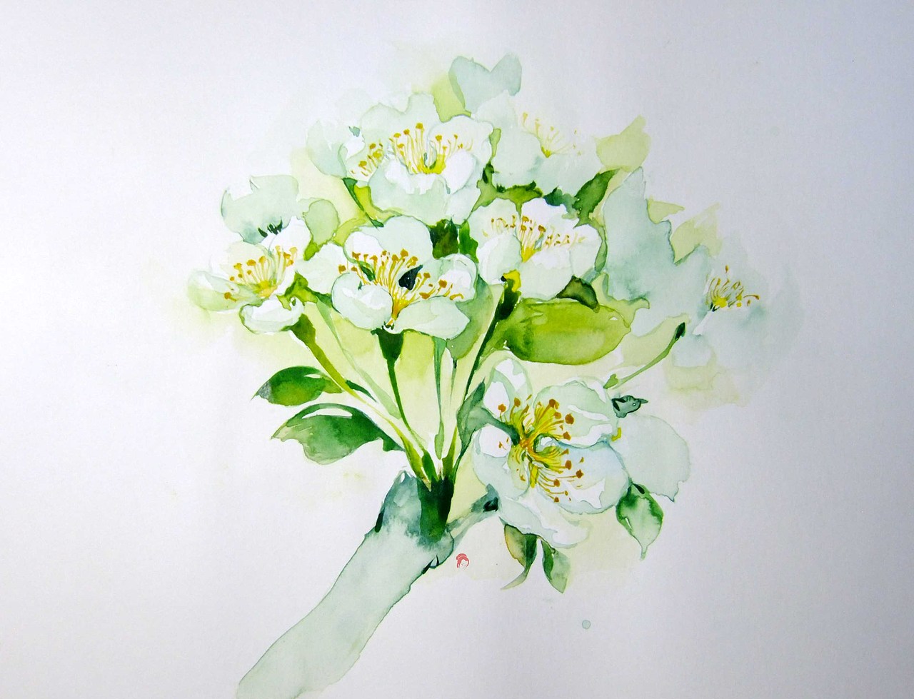 这个好像叫荼蘼花